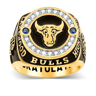 Men's 14K Gold Plated CZ Multiple Graphics Traditional Birthstone Class Ring