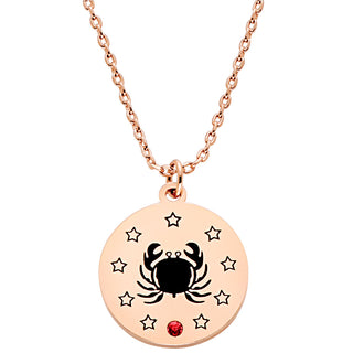 Zodiac Animal and Birthstone Disc Necklace