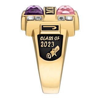 Men's 14K Gold Plated Double Birthstone & CZ Rectangle Class Ring