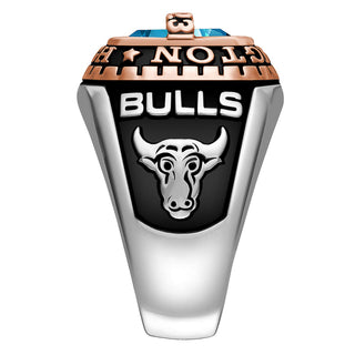Men's 2-Tone Sterling Silver and 14K Rose Gold Plated Birthstone Class Ring