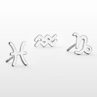 Silver Plated Zodiac Sign Cutout Stud Earring Set of 2