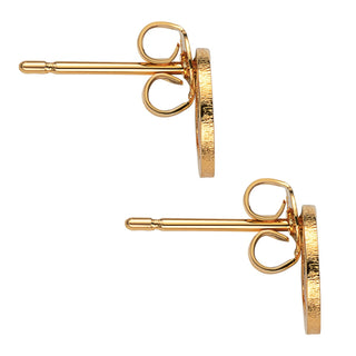 14K Gold Plated Zodiac Sign Disc Stud Earring Set of 2