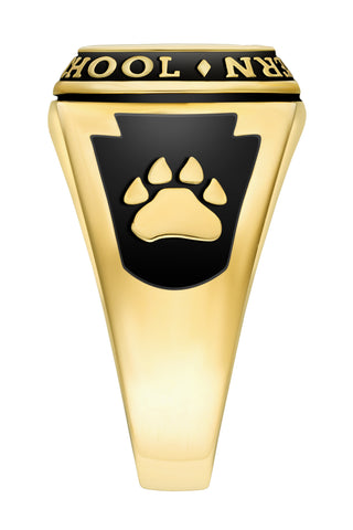 Men's 14K Gold Plated Traditional Cushion Birthstone Class Ring