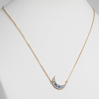 Two-Tone Family Birthstone and Diamond Accent Moon Necklace