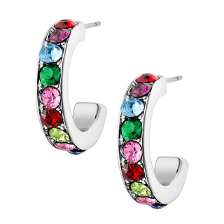 Silver Plated Round Birthstone Huggie Earrings