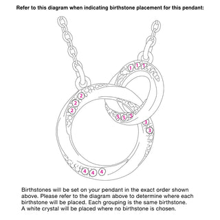 Silver Plated Family Birthstone Interlocking Circles Necklace