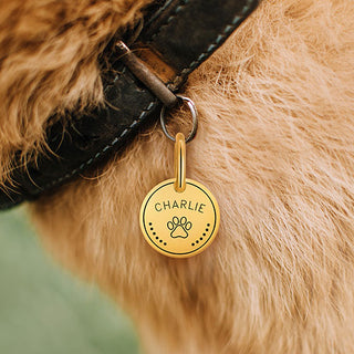 Stainless Steel Personalized Engraved Disc with Paw-Print Pet Tag