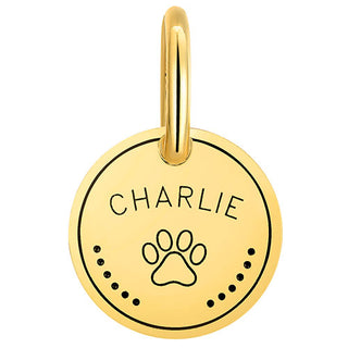 Stainless Steel Personalized Engraved Disc with Paw-Print Pet Tag