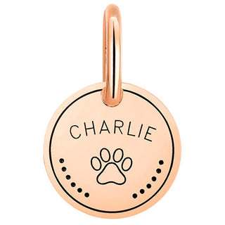 Stainless Steel Personalized Engraved Disc with Paw-Print Pet Tag