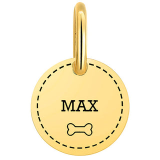 Stainless Steel Personalized Engraved Disc with Bone Pet Tag