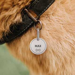 Stainless Steel Personalized Engraved Disc with Bone Pet Tag