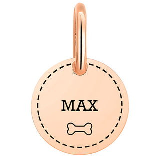 Stainless Steel Personalized Engraved Disc with Bone Pet Tag