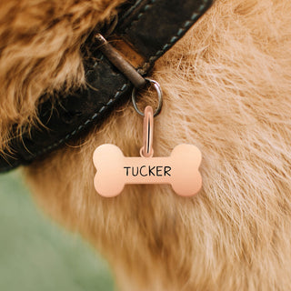 Stainless Steel Personalized Engraved Cut-out Bone Pet Tag