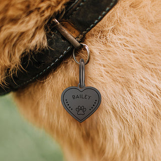 Stainless Steel Personalized Engraved Heart with Paw-Print Pet Tag