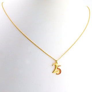 Custom Double Digit Year with Enamel Necklace